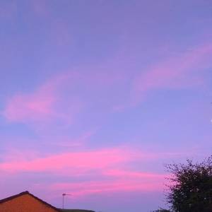 99国产精品丝袜久久久久久
