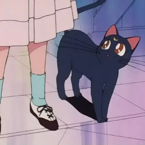 99国产精品丝袜久久久久久
